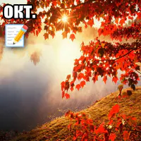 Отчет за октябрь 2025: тяжелый месяц...